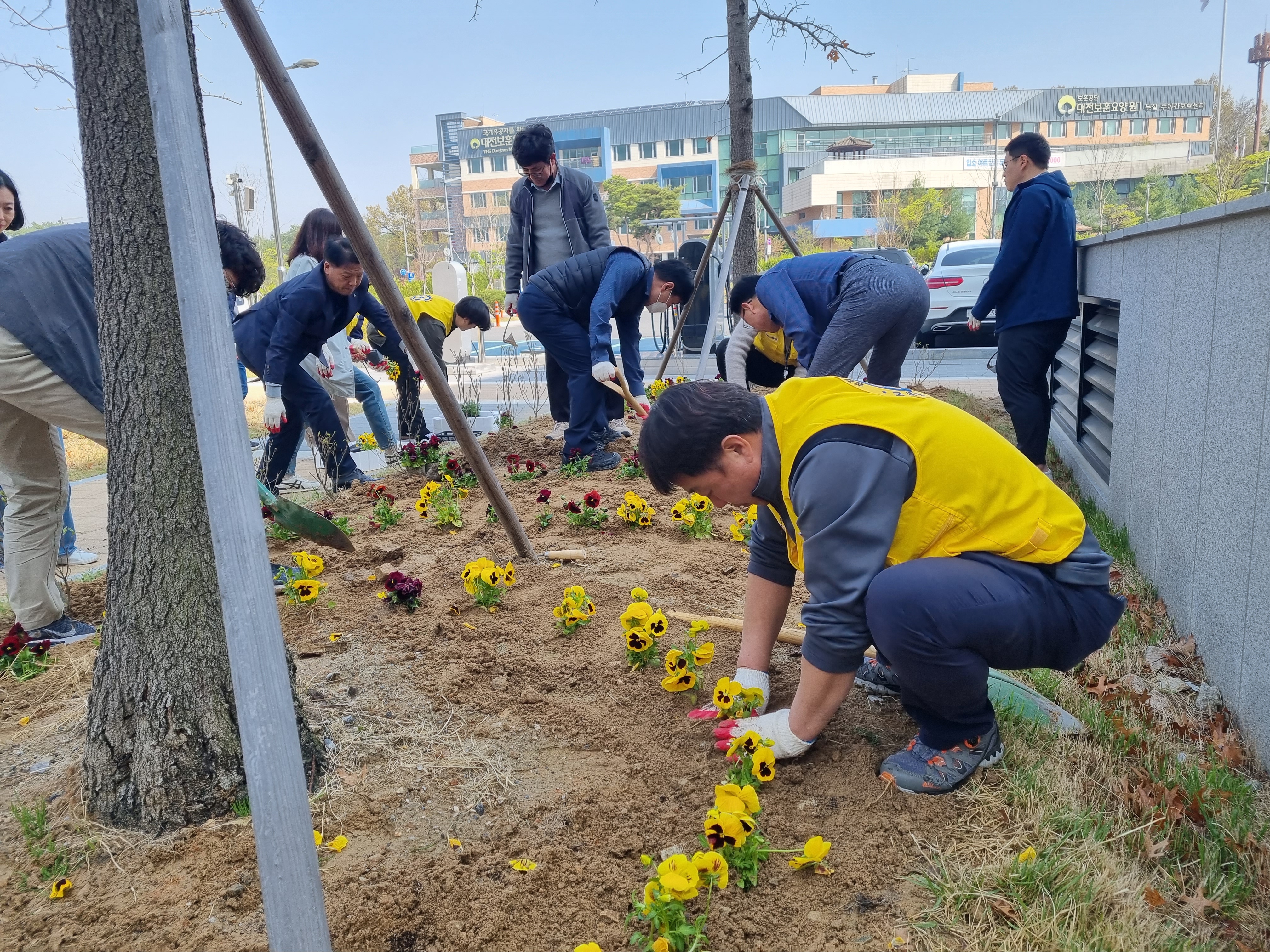 북대전세무서, 청사부지에 꽃나무 등 식목 행사 실시 이미지 1